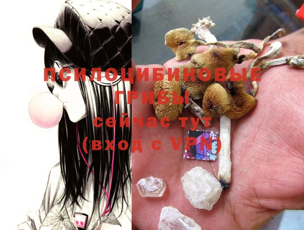 гашиш Сафоново