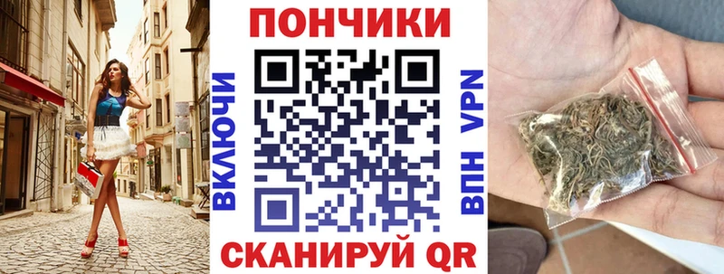 Бошки Шишки SATIVA & INDICA  где купить наркоту  Судогда 